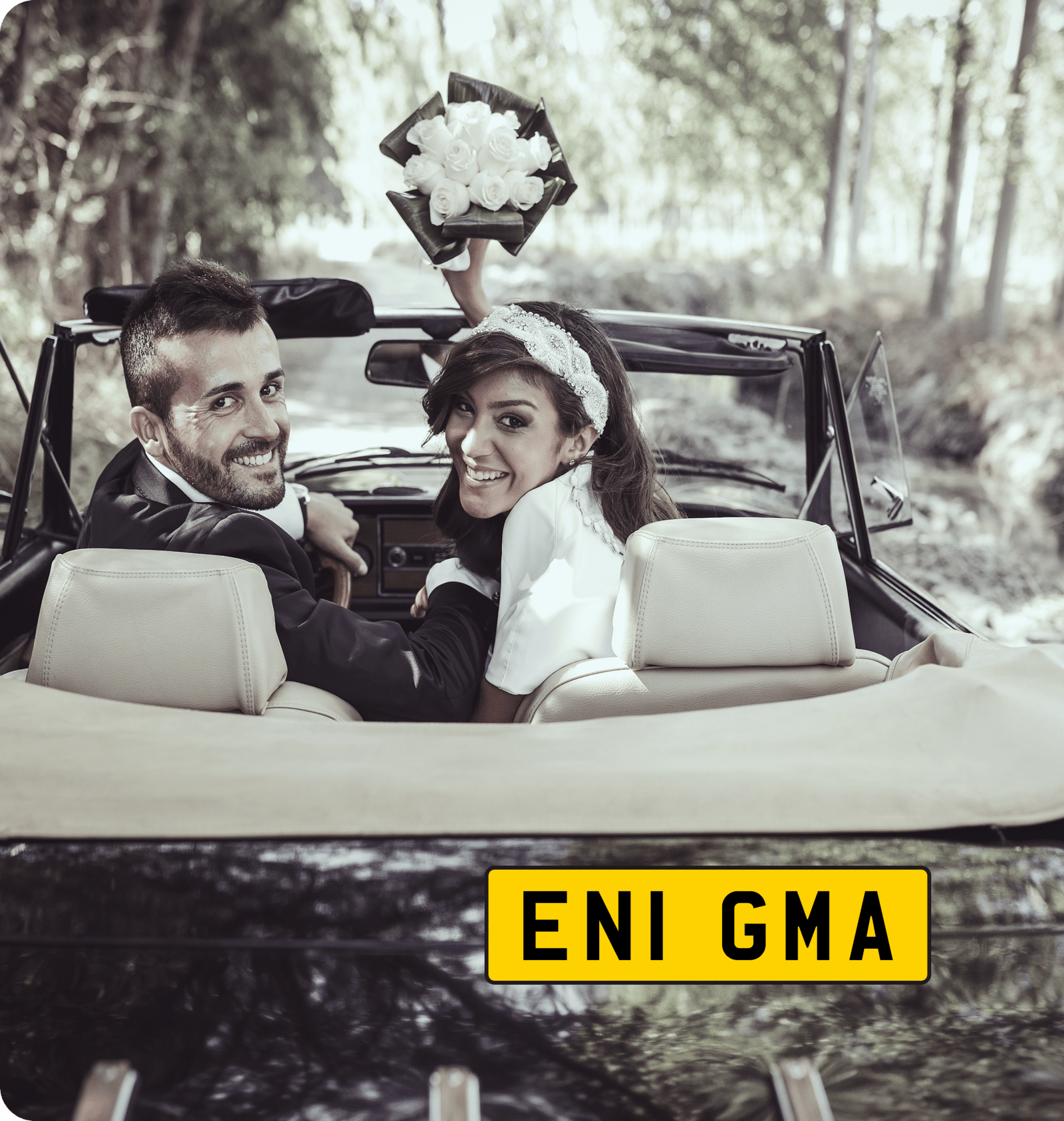 enigma img